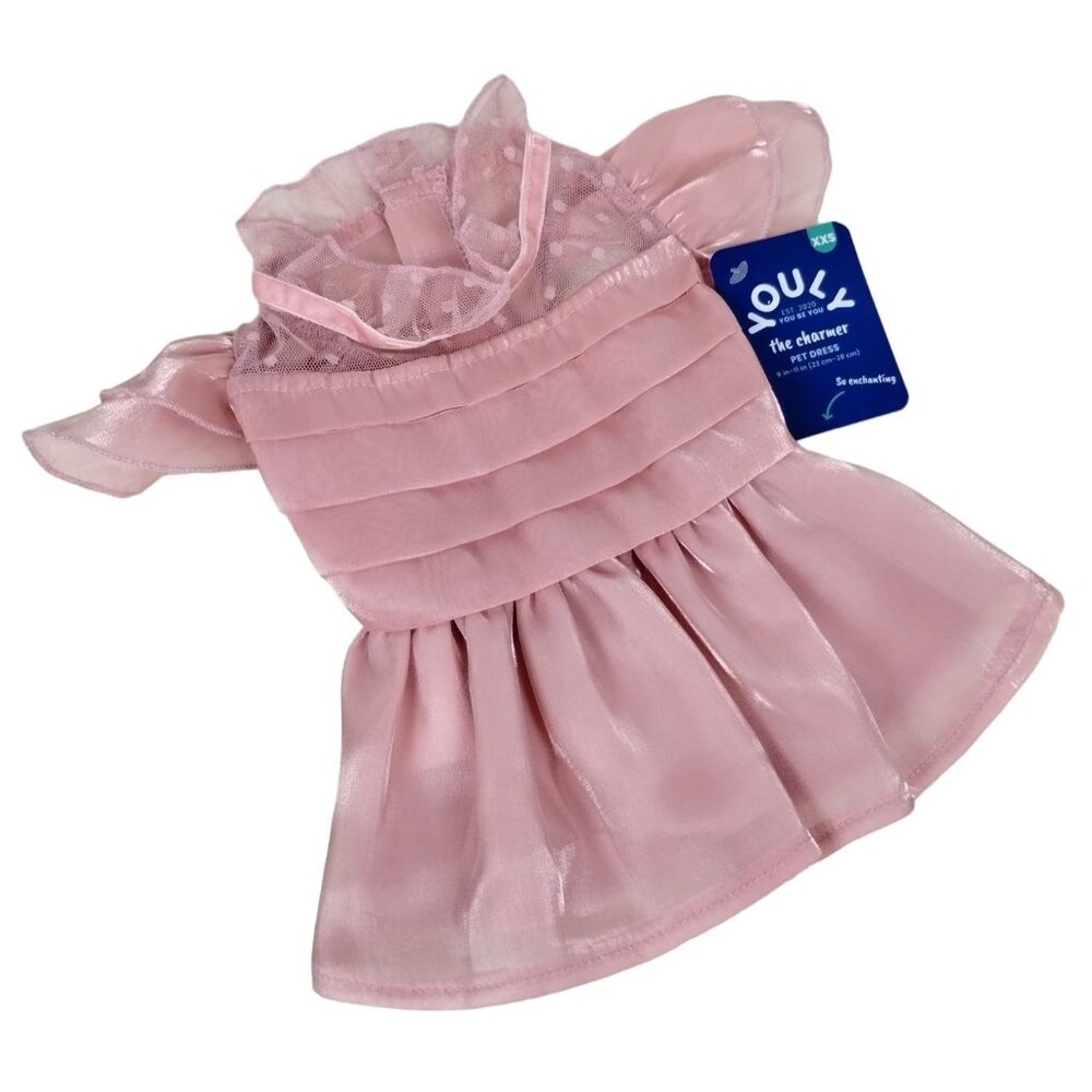 Youly Charmer Pink Ruffle Princess Dress with Lace Detail for Dogs XXS 9 inches